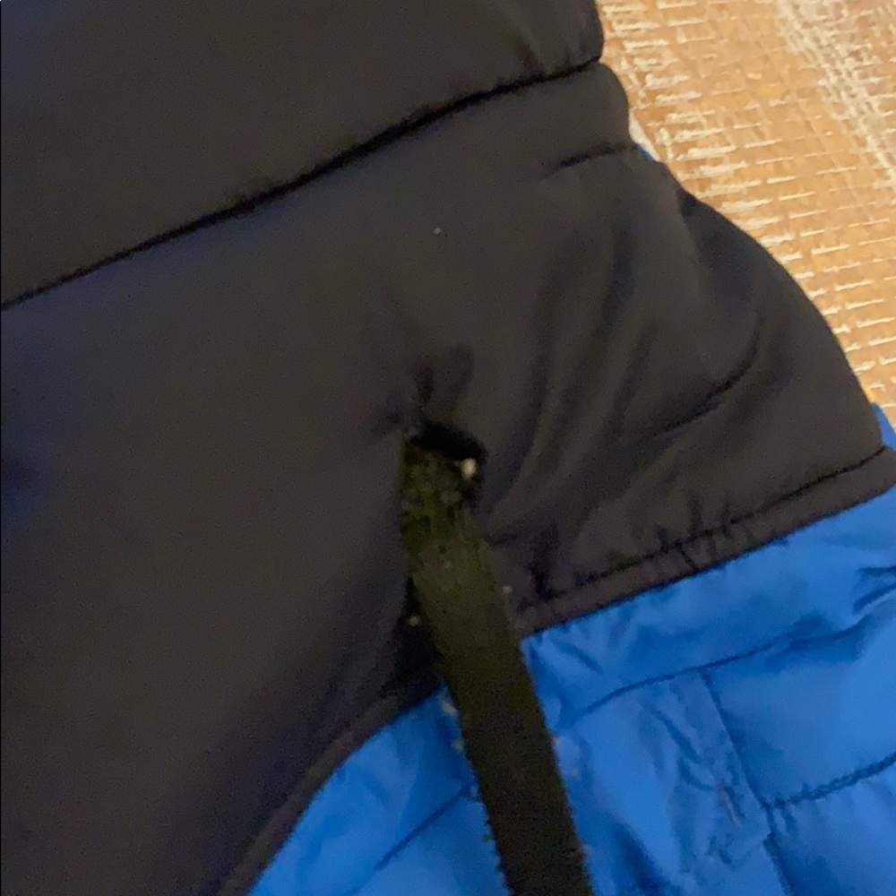 Dog Winter Jacket - Picture 10 of 10
